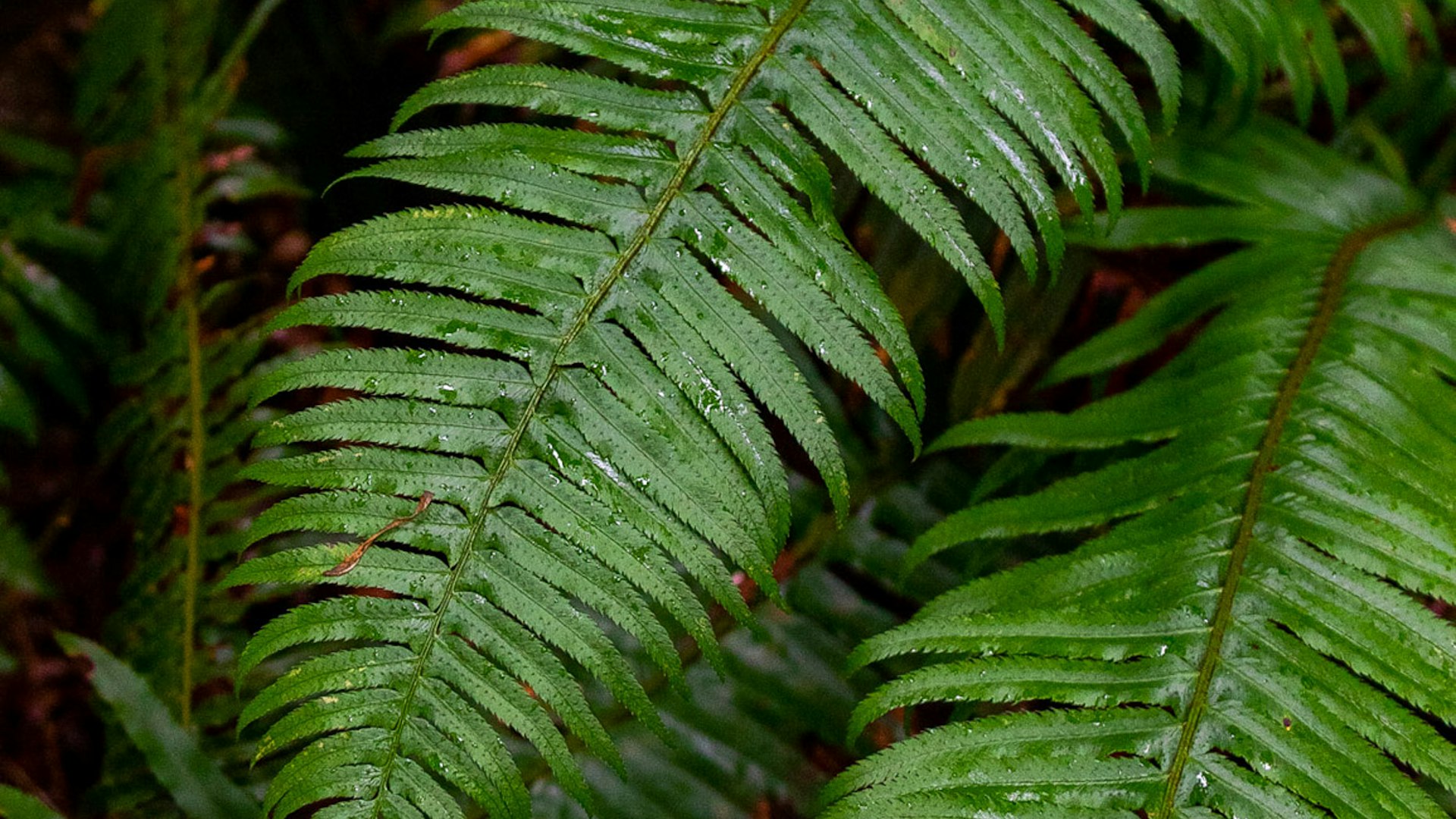 Large-scale residential development project automation